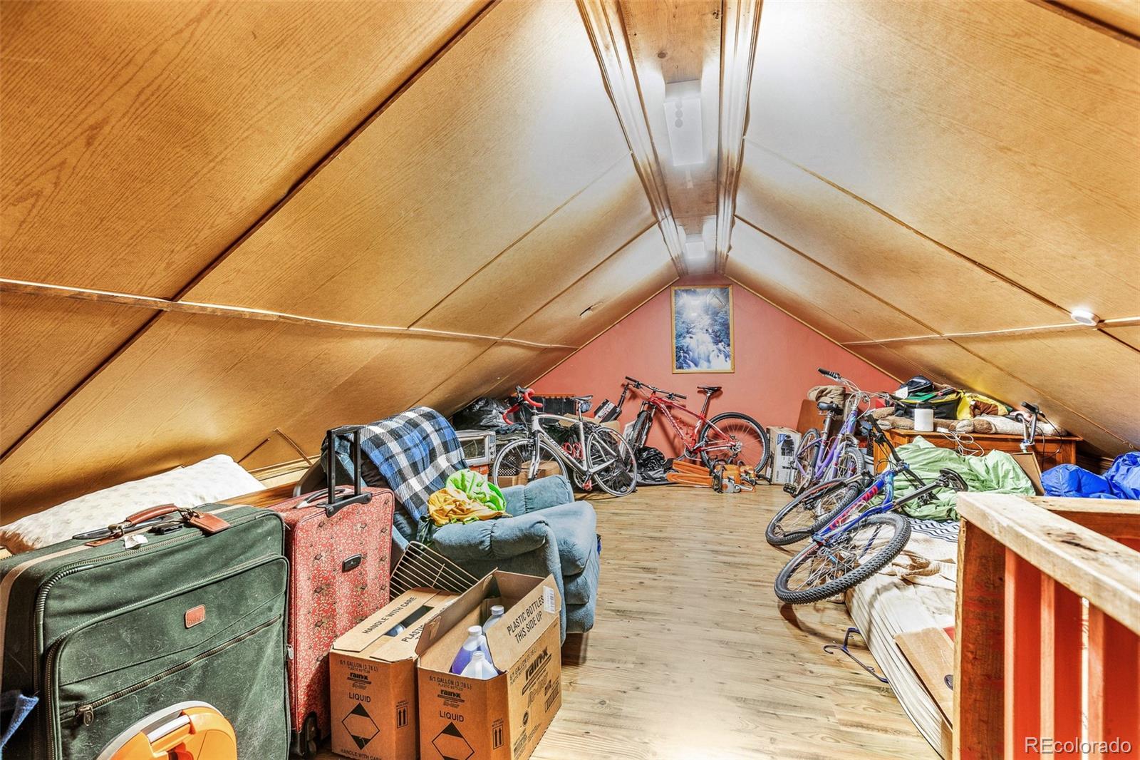 MLS Image #22 for 237  foxtail court,fairplay, Colorado
