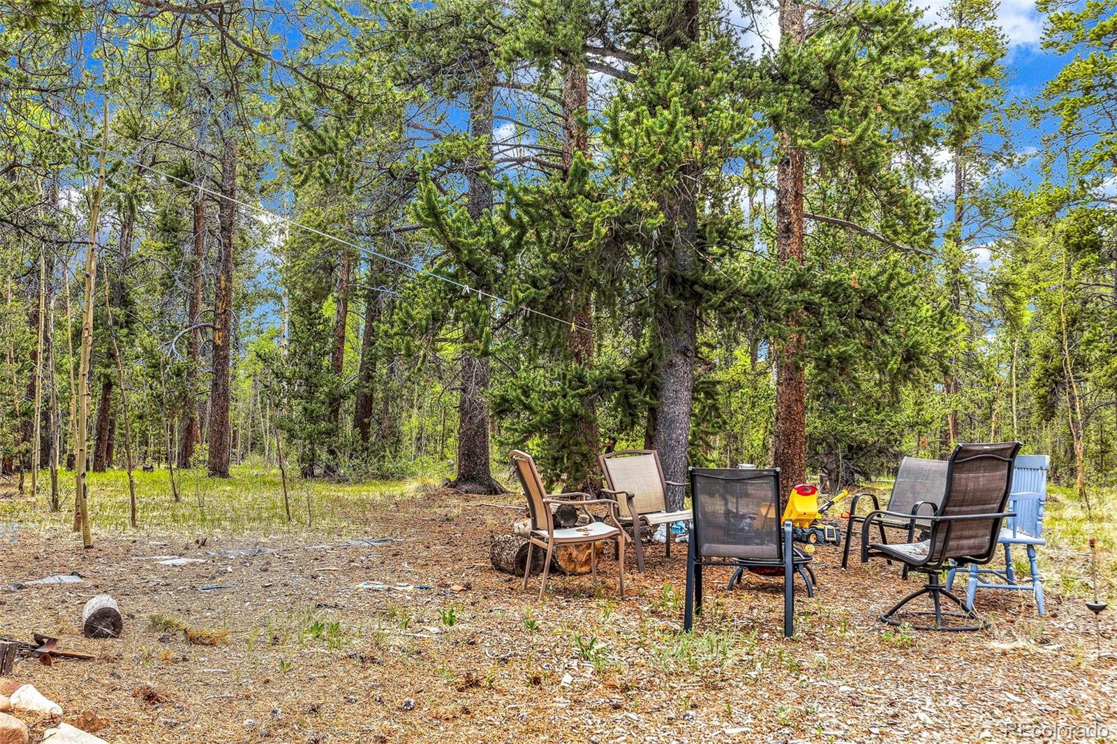 MLS Image #24 for 237  foxtail court,fairplay, Colorado