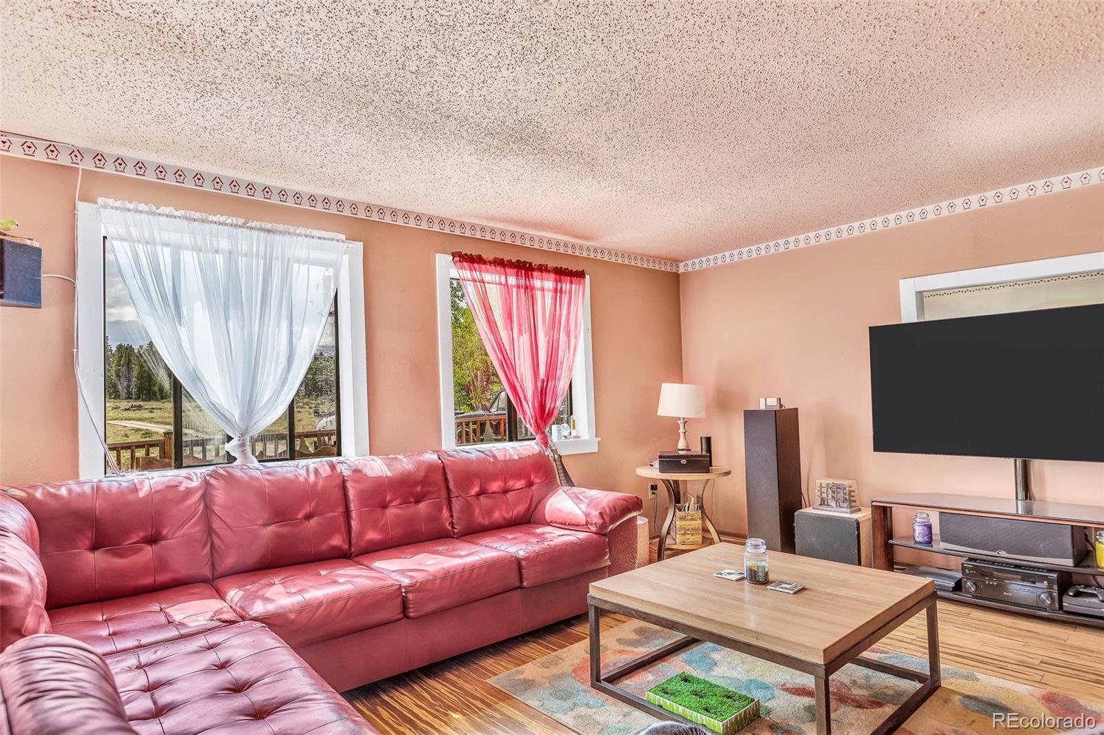 MLS Image #8 for 237  foxtail court,fairplay, Colorado