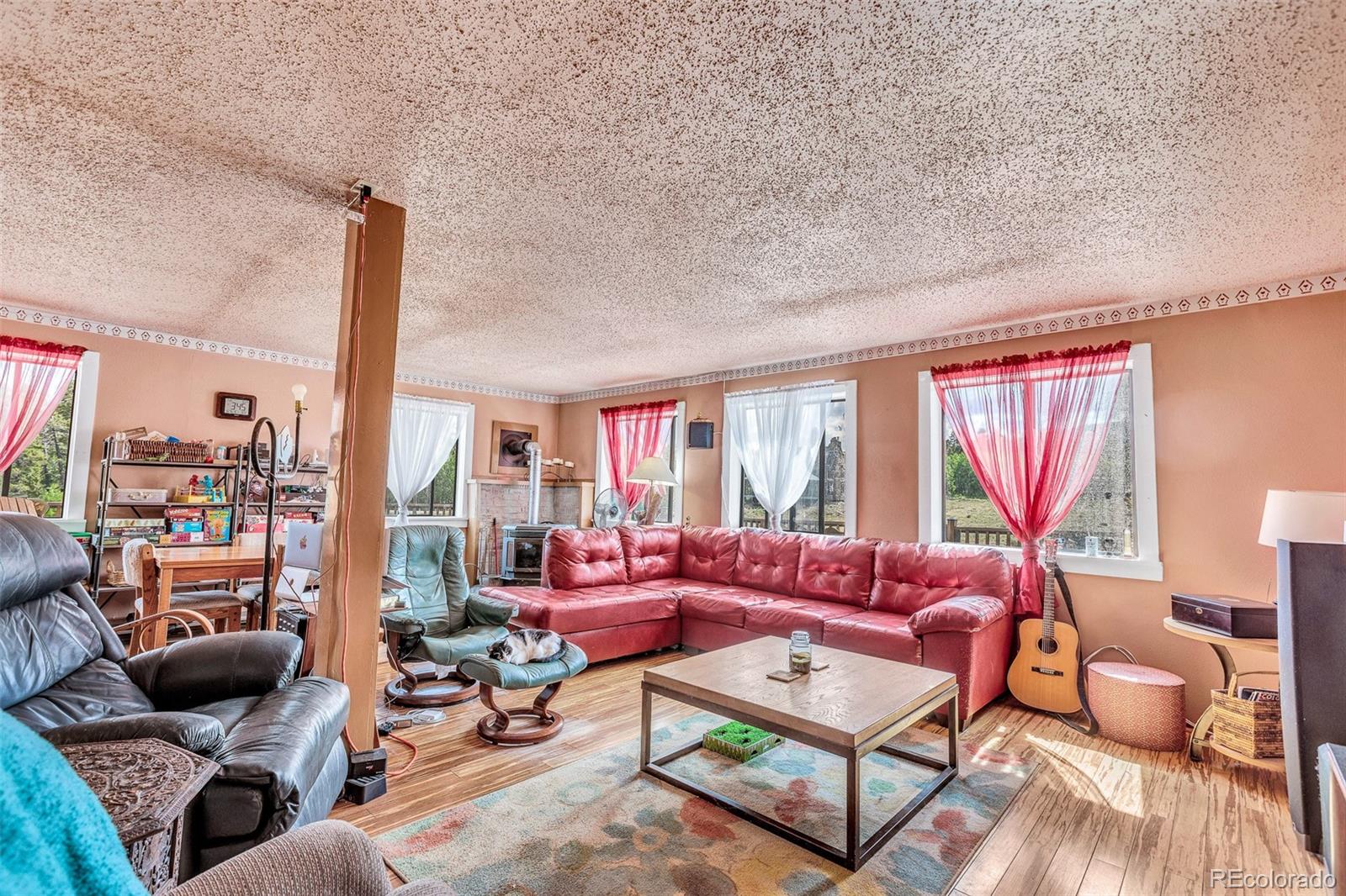 MLS Image #9 for 237  foxtail court,fairplay, Colorado