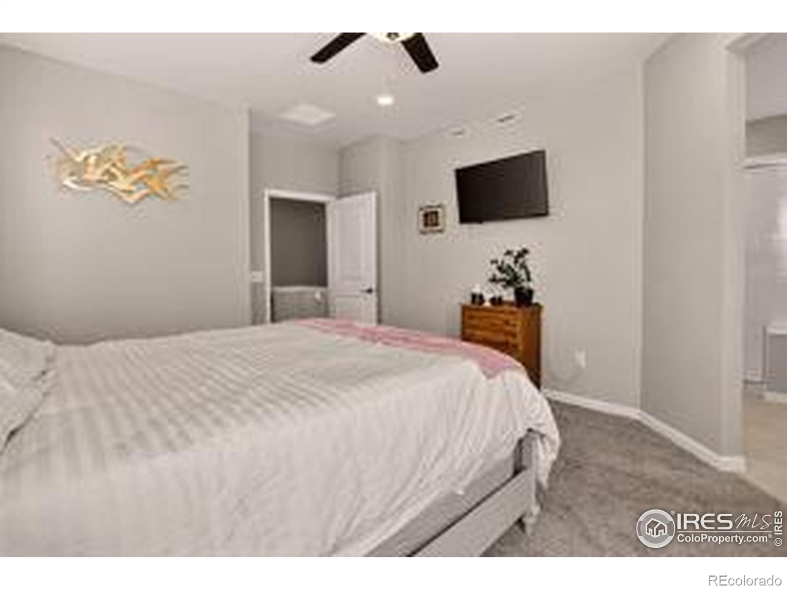 MLS Image #11 for 173  ambrose street,erie, Colorado