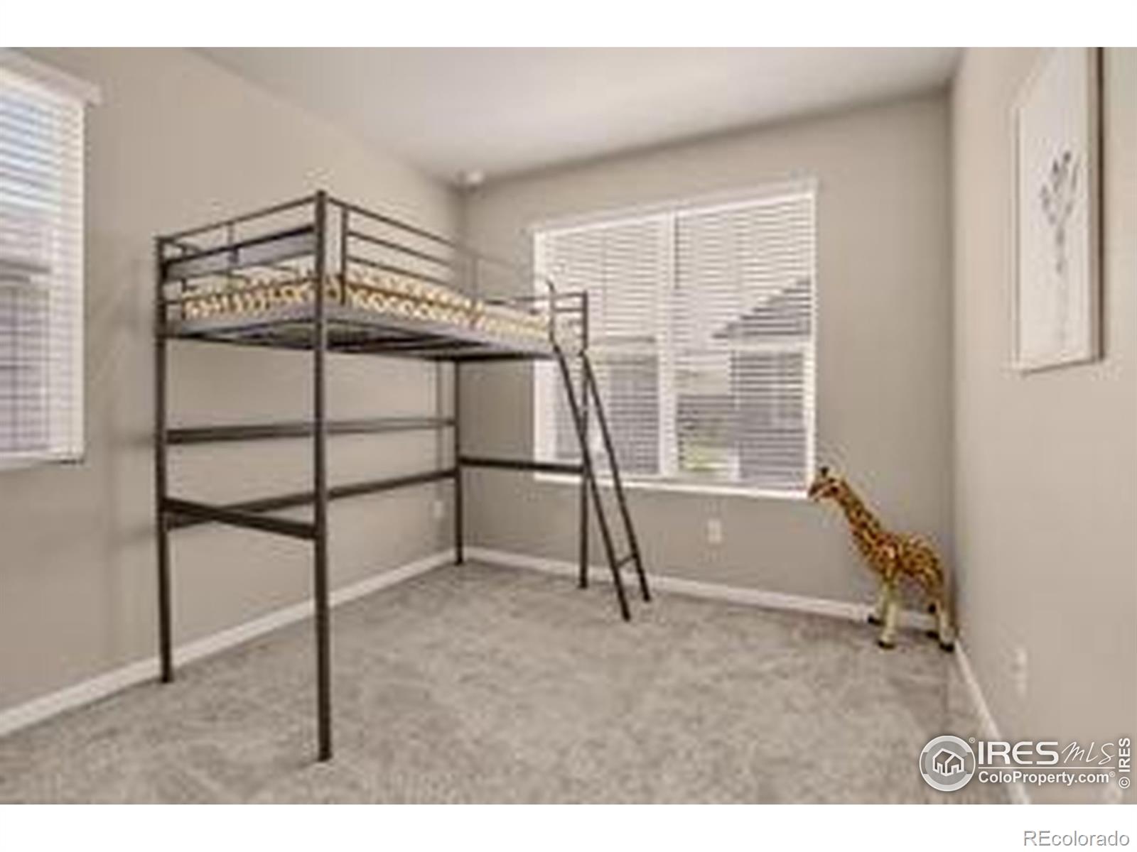 MLS Image #18 for 173  ambrose street,erie, Colorado