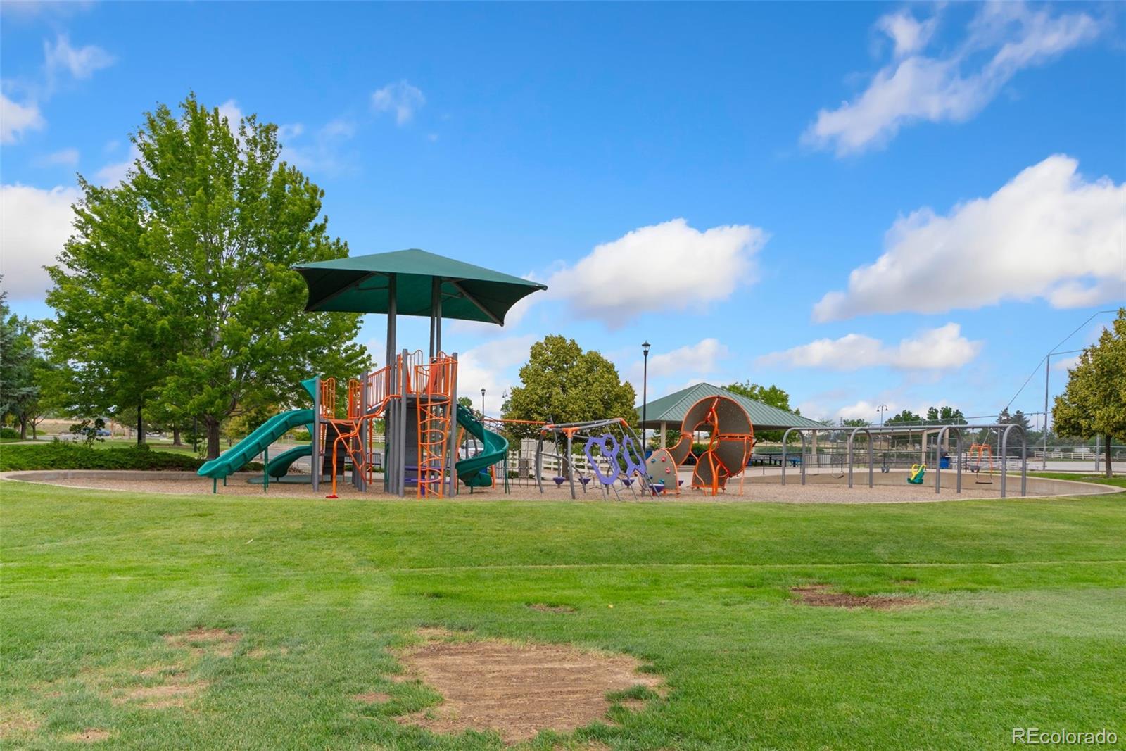 MLS Image #20 for 4945  prebles place,broomfield, Colorado