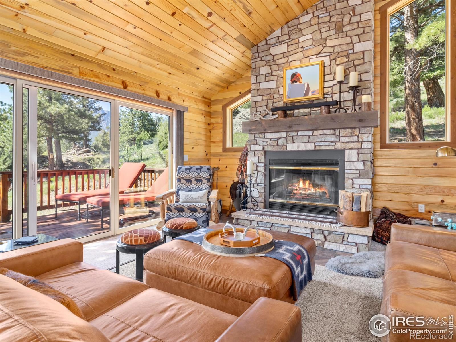 MLS Image #13 for 402  bluebird lane,estes park, Colorado