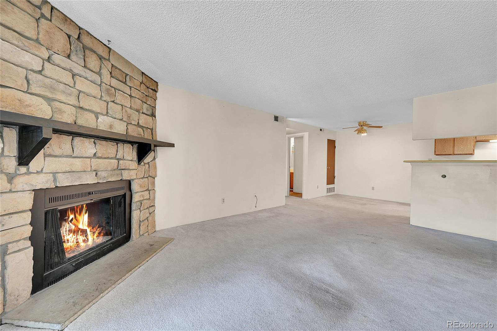 MLS Image #4 for 1830 s pitkin circle,aurora, Colorado