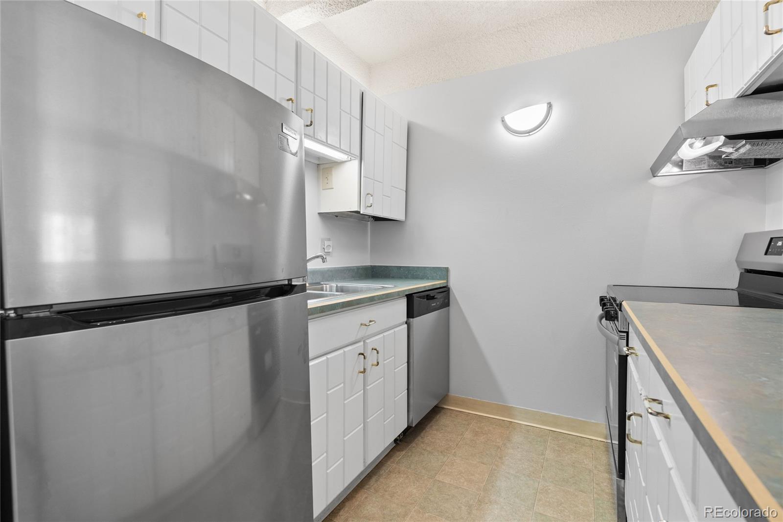 MLS Image #10 for 1265 n race street,denver, Colorado