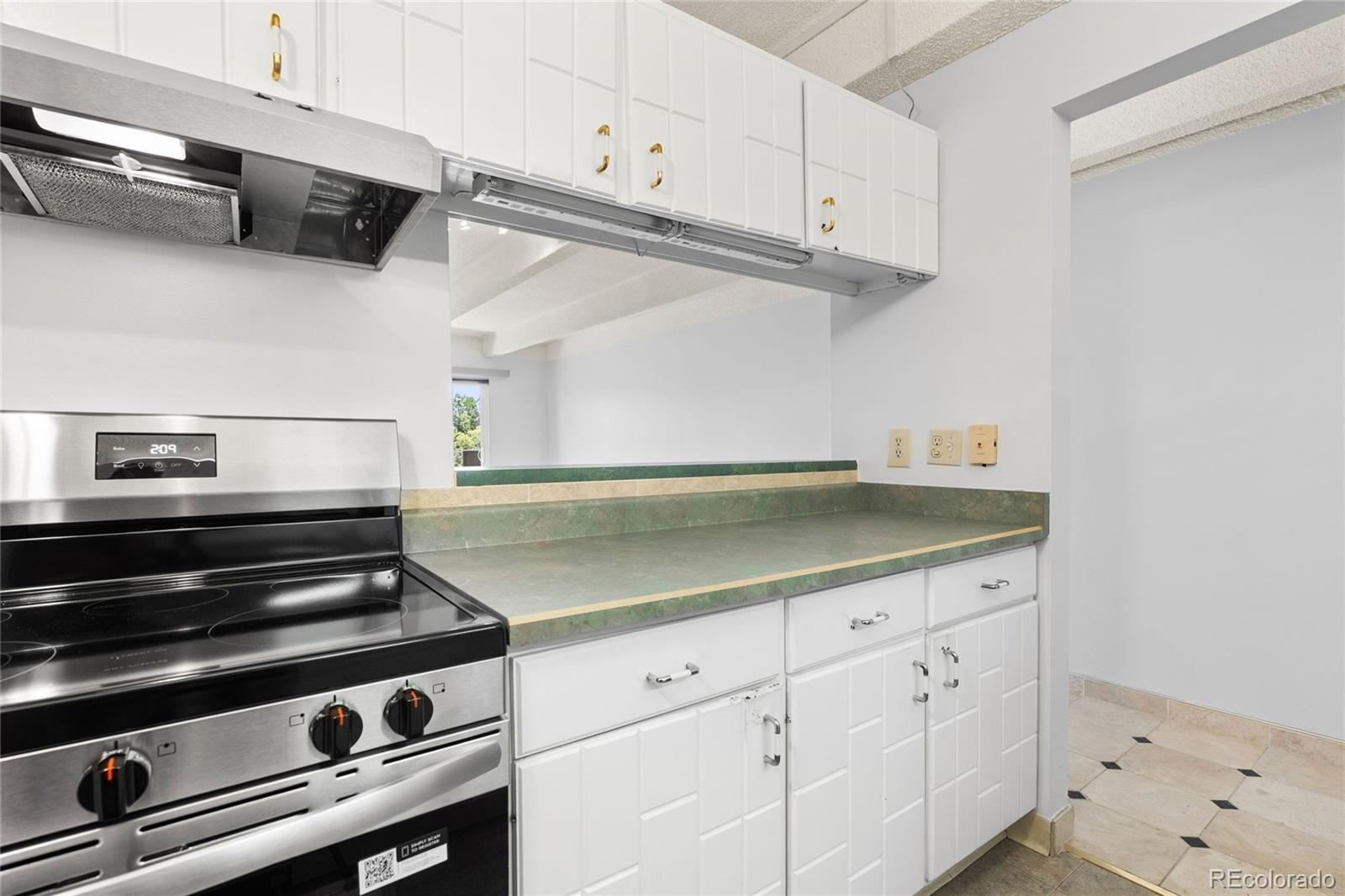 MLS Image #11 for 1265 n race street,denver, Colorado
