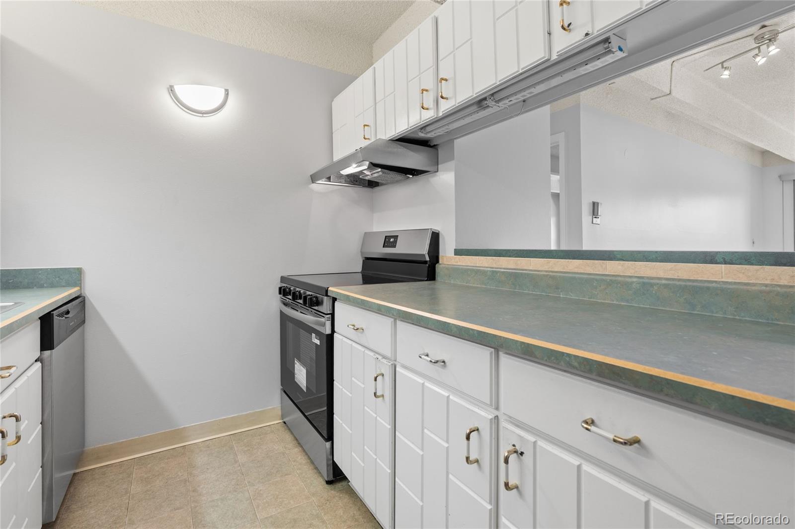 MLS Image #13 for 1265 n race street,denver, Colorado