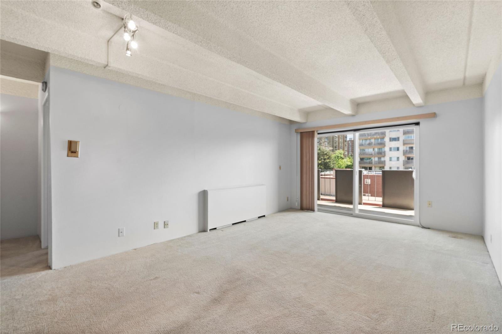 MLS Image #3 for 1265 n race street,denver, Colorado