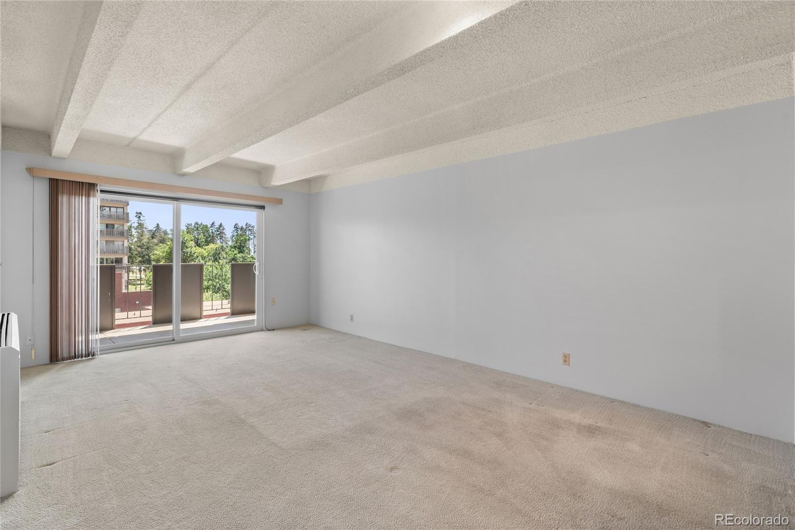 MLS Image #4 for 1265 n race street,denver, Colorado