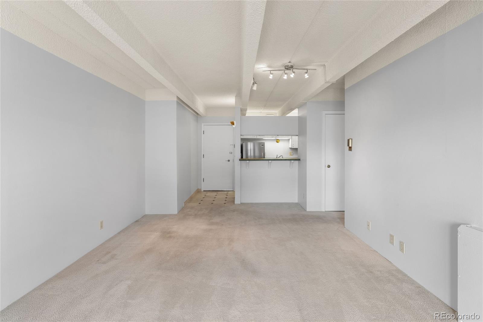 MLS Image #8 for 1265 n race street,denver, Colorado