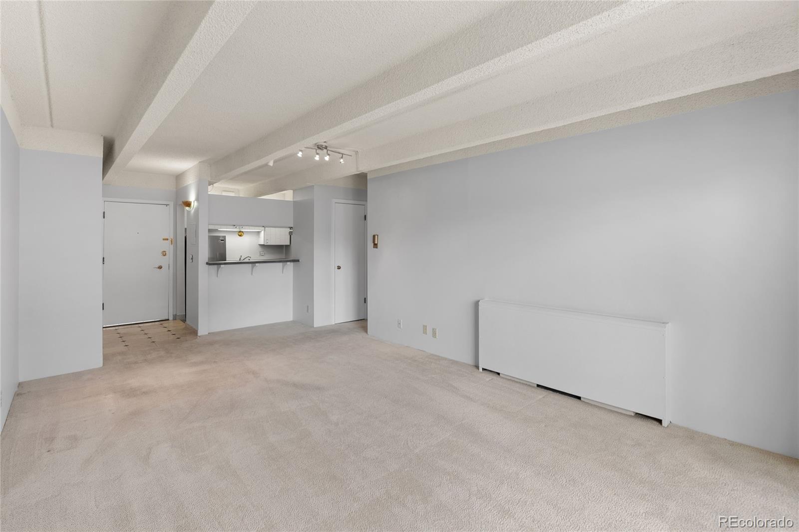 MLS Image #9 for 1265 n race street,denver, Colorado