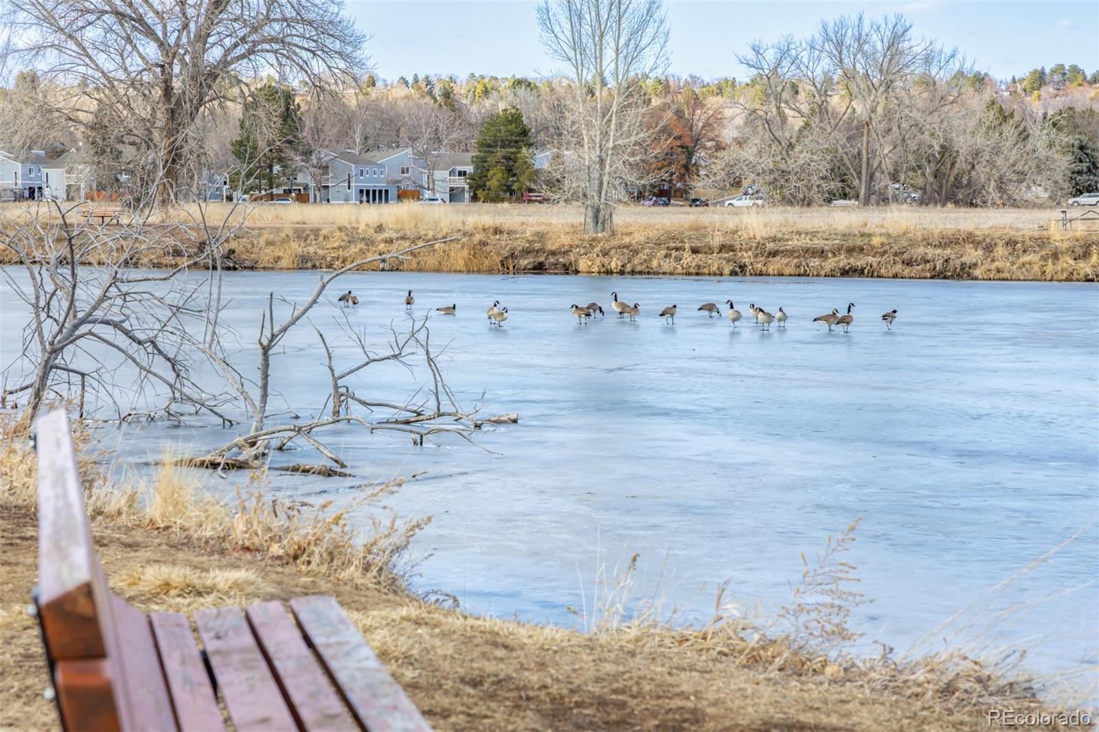 MLS Image #41 for 3281 s estes street,lakewood, Colorado