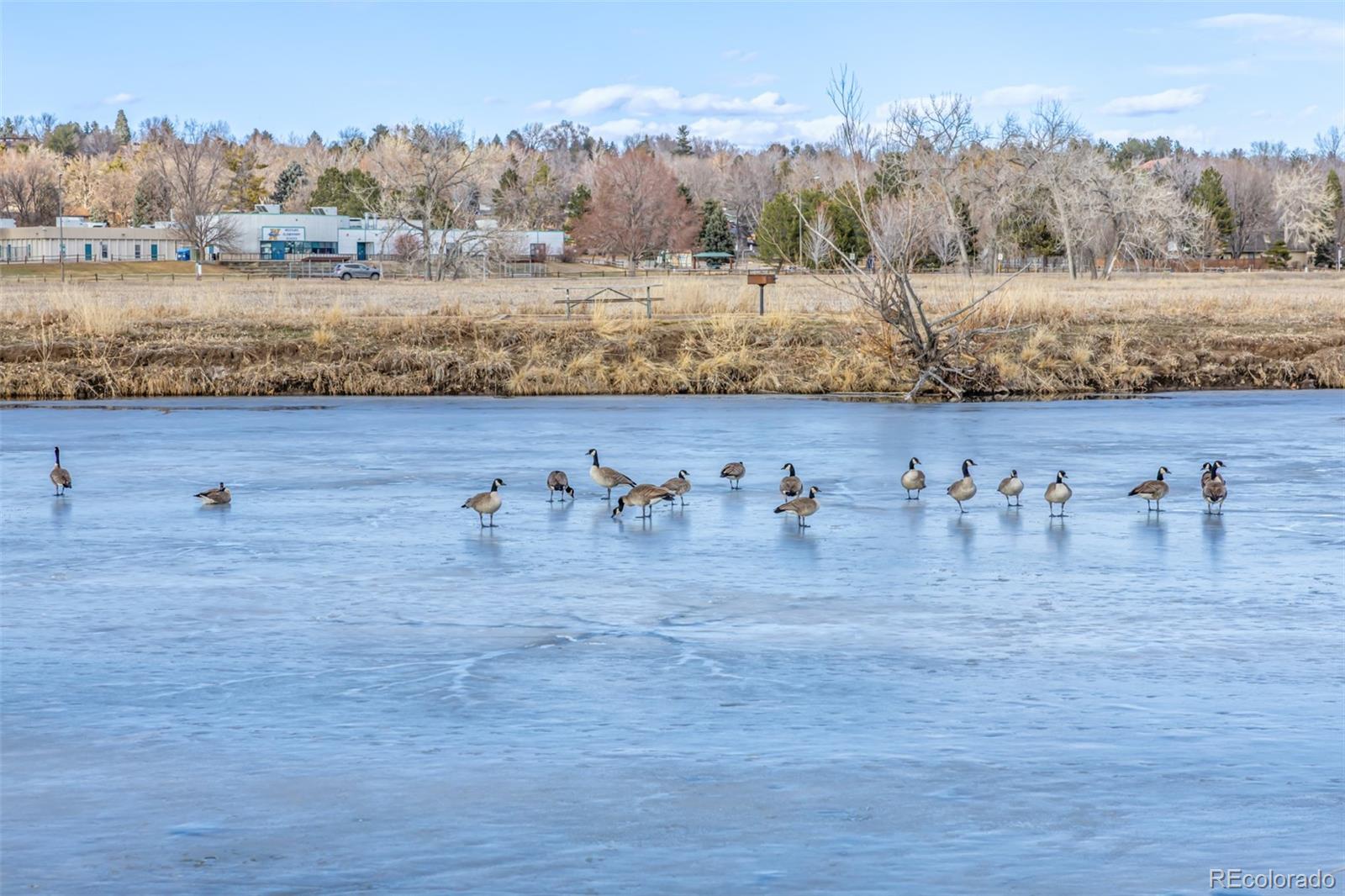 MLS Image #42 for 3281 s estes street,lakewood, Colorado