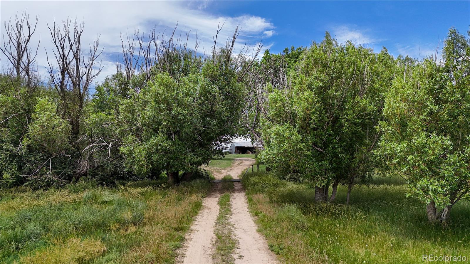 MLS Image #40 for 25000  county road 193 ,limon, Colorado