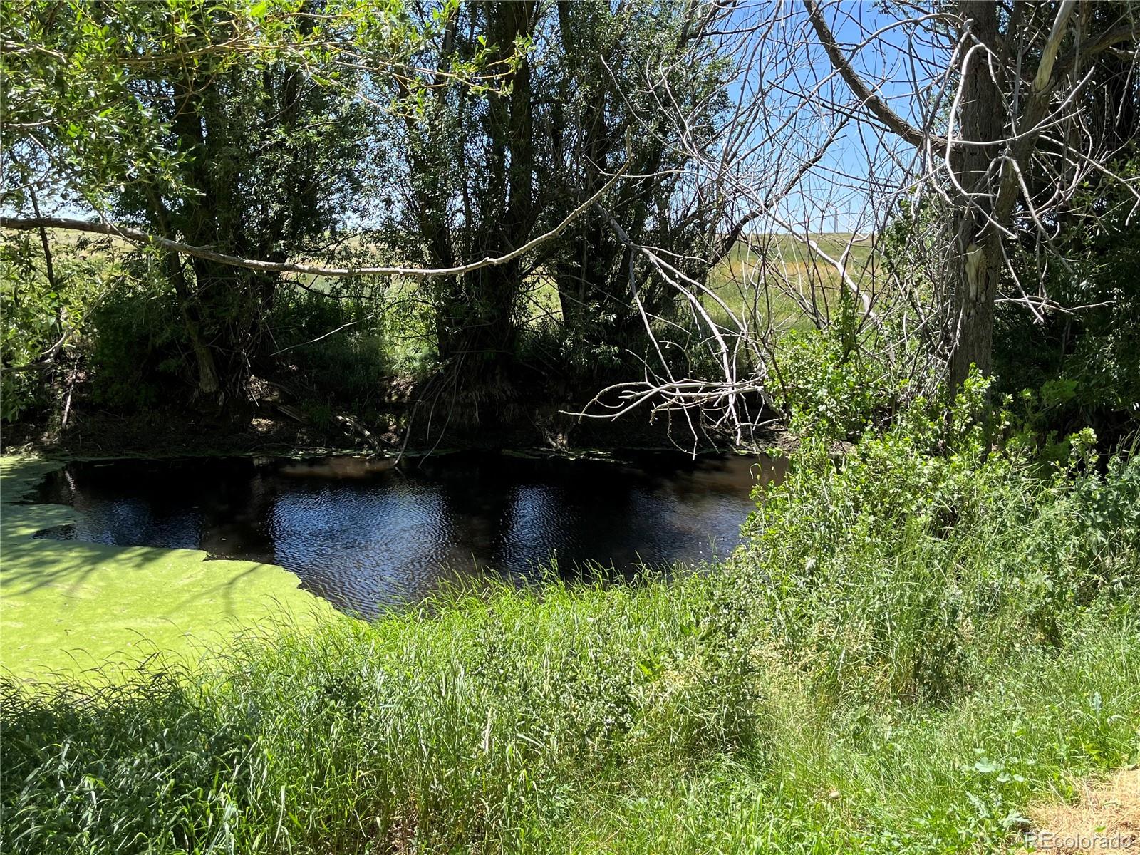 MLS Image #8 for 25000  county road 193 ,limon, Colorado
