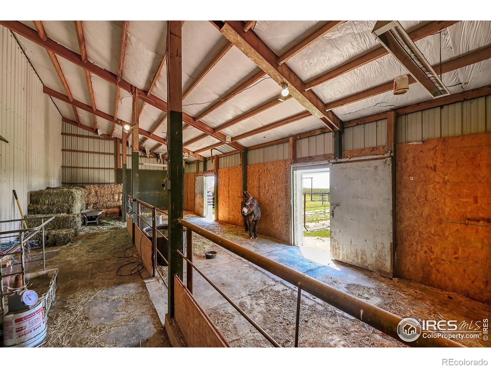 MLS Image #24 for 57300  county road 21 ,carr, Colorado