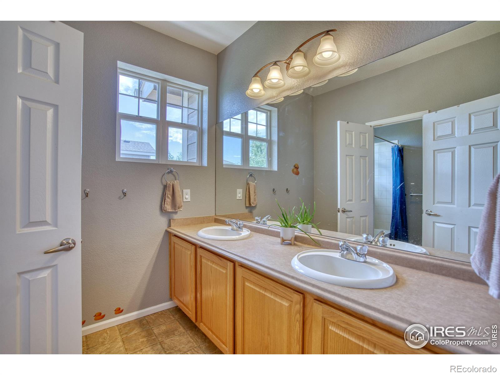 MLS Image #19 for 4956  shenandoah avenue,firestone, Colorado