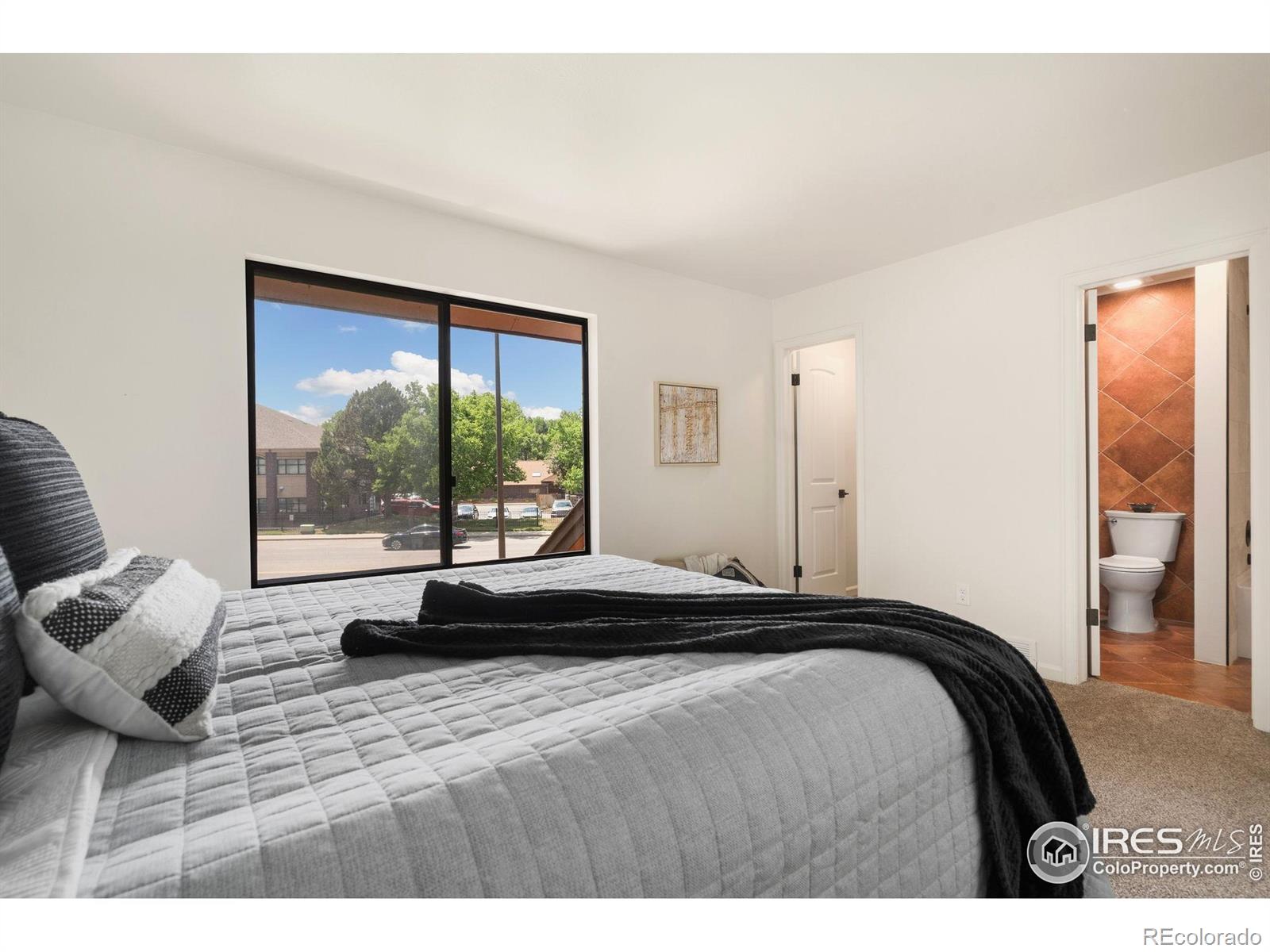 MLS Image #14 for 1935  waters edge street,fort collins, Colorado