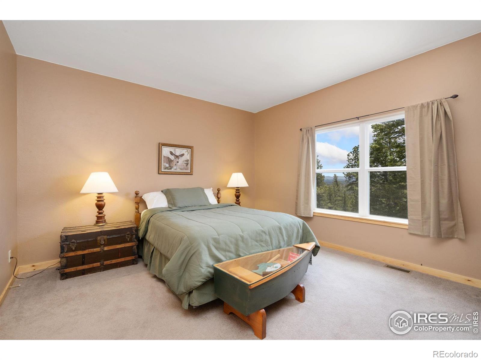 MLS Image #15 for 409  okmulgee circle,red feather lakes, Colorado