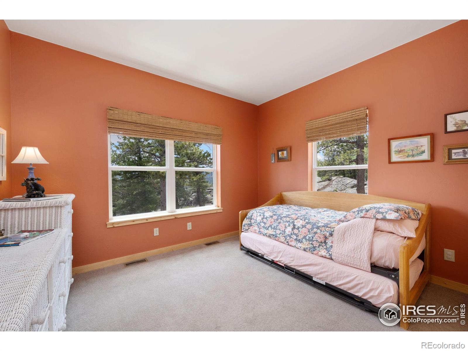 MLS Image #20 for 409  okmulgee circle,red feather lakes, Colorado