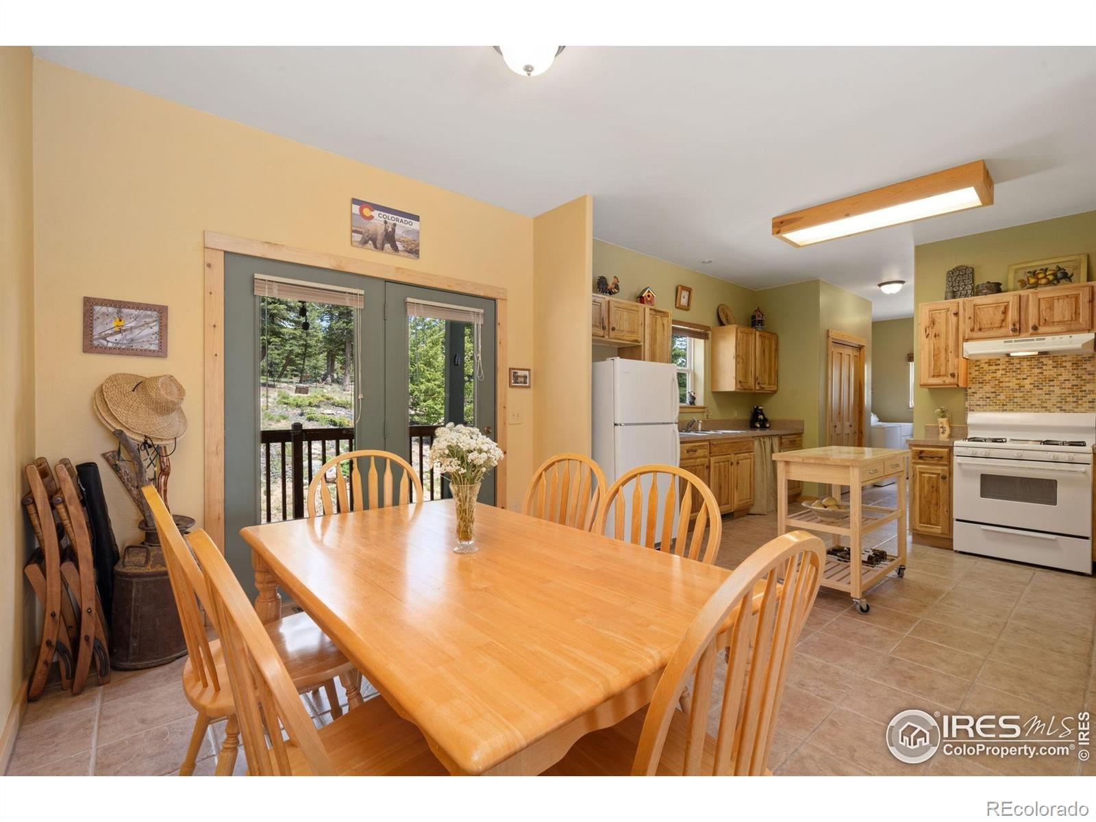 MLS Image #3 for 409  okmulgee circle,red feather lakes, Colorado