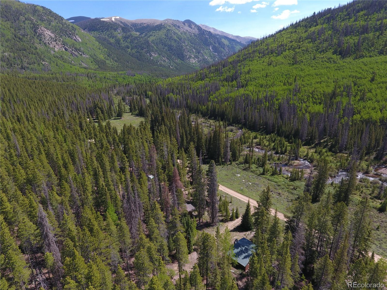 MLS Image #11 for 19147  county road 294 ,nathrop, Colorado