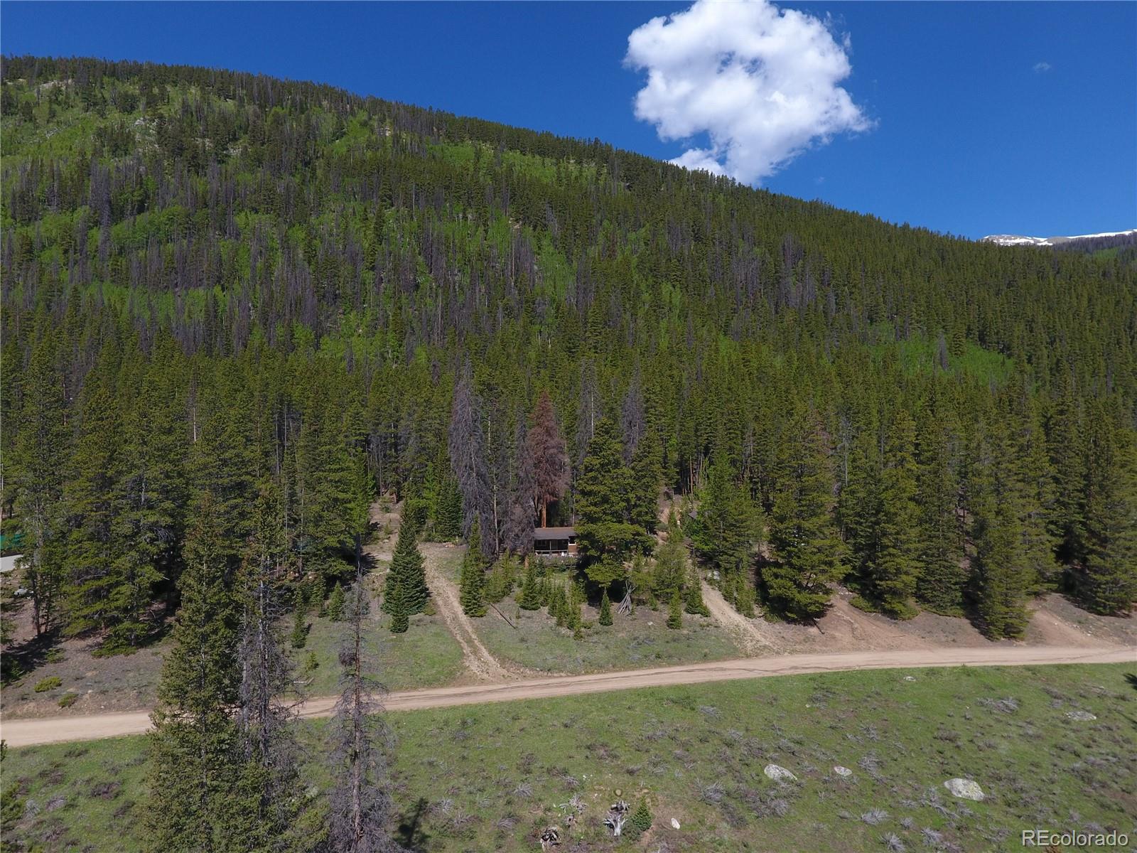 MLS Image #15 for 19147  county road 294 ,nathrop, Colorado