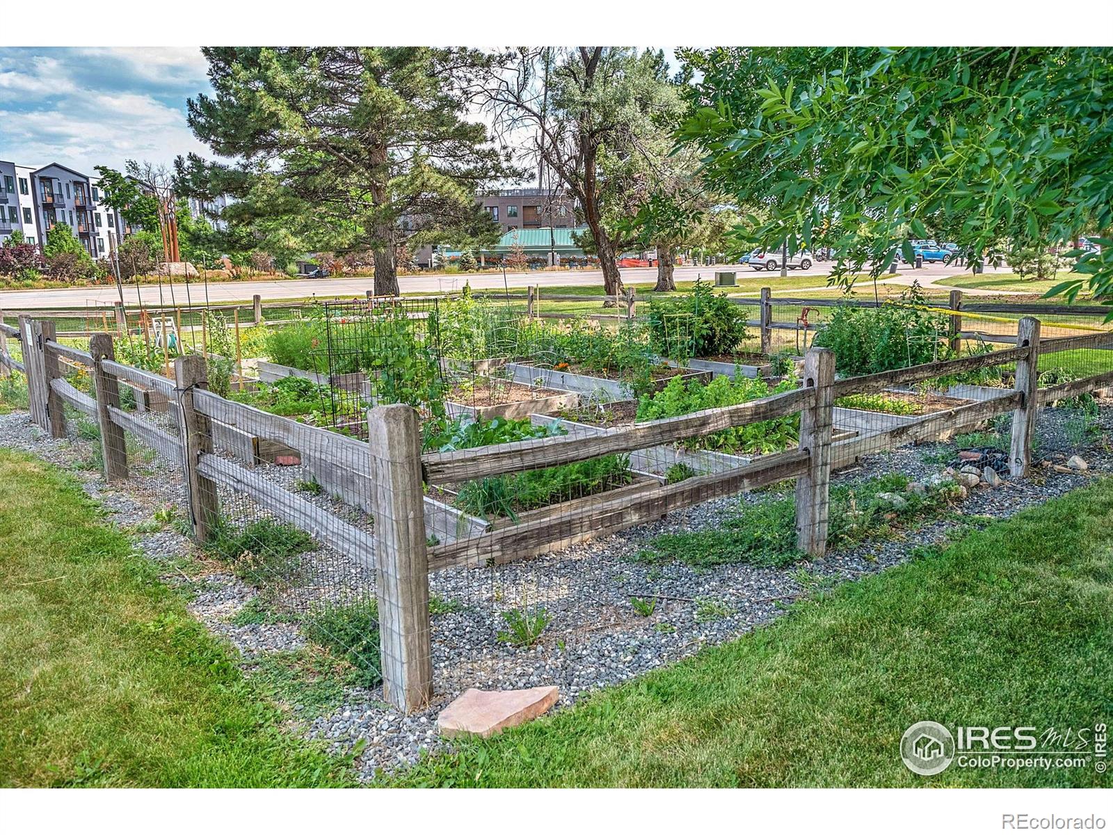 MLS Image #33 for 2800  kalmia avenue,boulder, Colorado