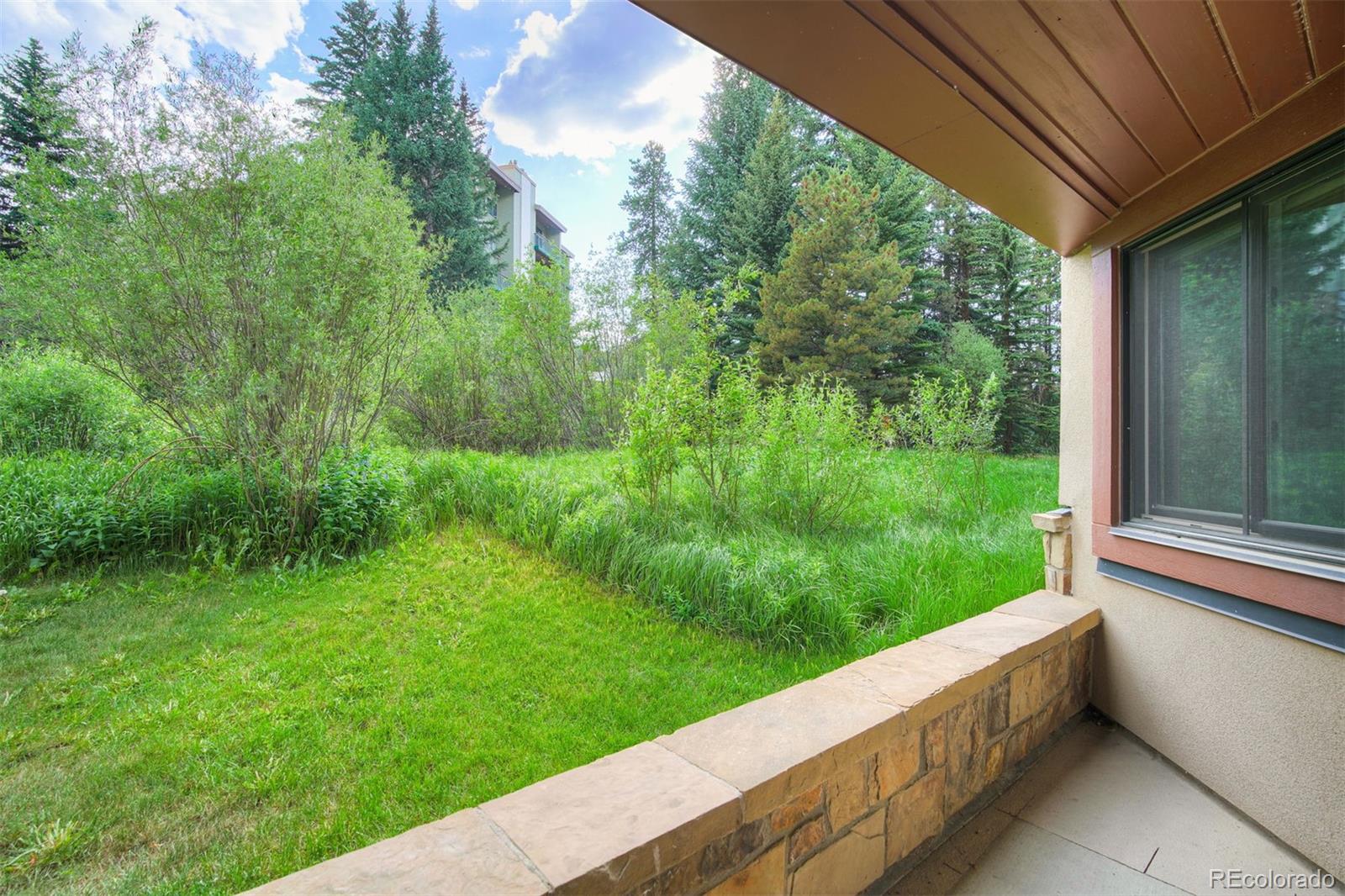 MLS Image #22 for 405  village road,breckenridge, Colorado
