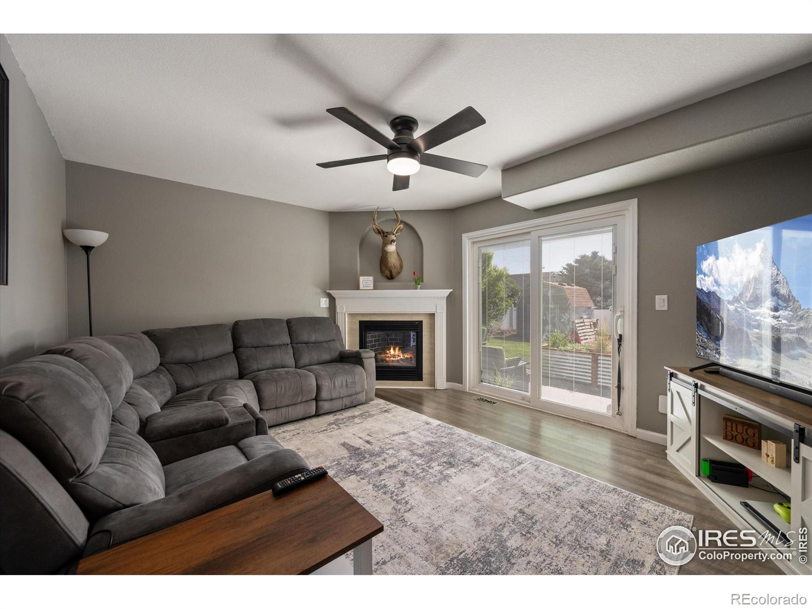 MLS Image #11 for 253  buckeye avenue,eaton, Colorado