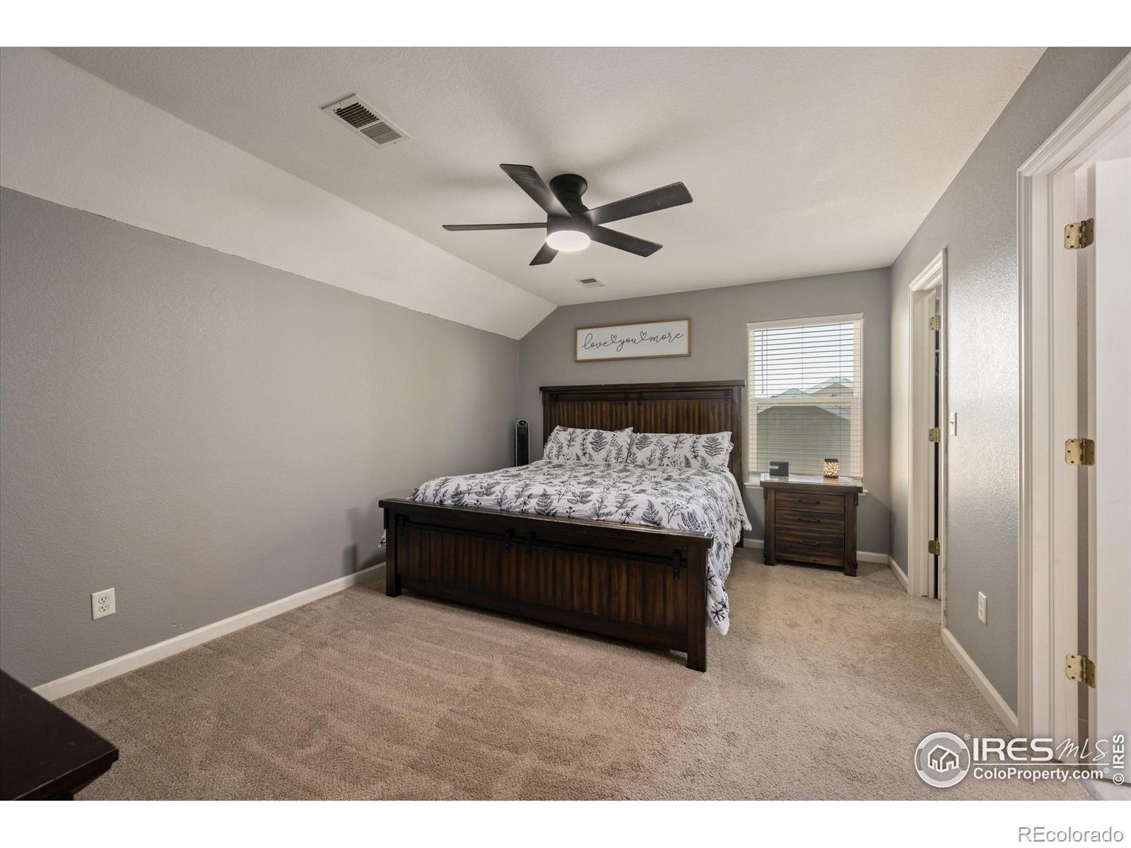 MLS Image #12 for 253  buckeye avenue,eaton, Colorado