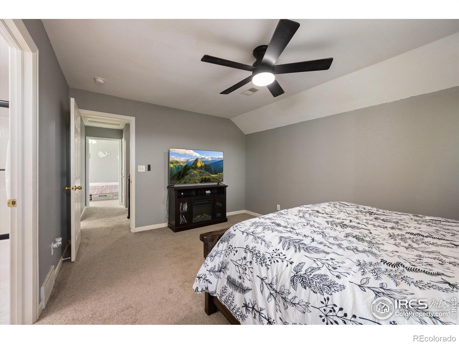 MLS Image #13 for 253  buckeye avenue,eaton, Colorado