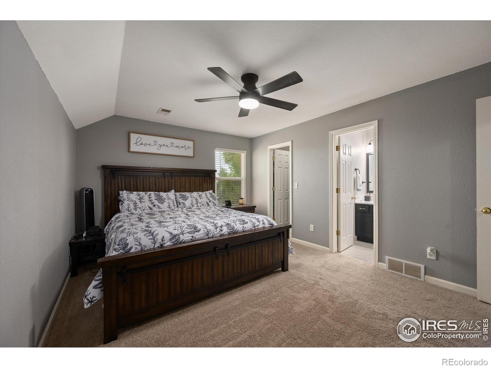 MLS Image #14 for 253  buckeye avenue,eaton, Colorado
