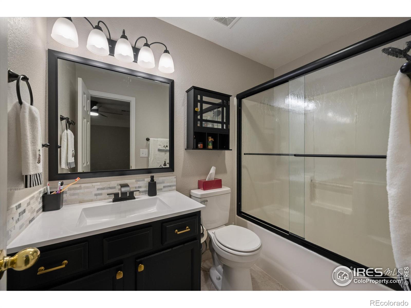 MLS Image #15 for 253  buckeye avenue,eaton, Colorado