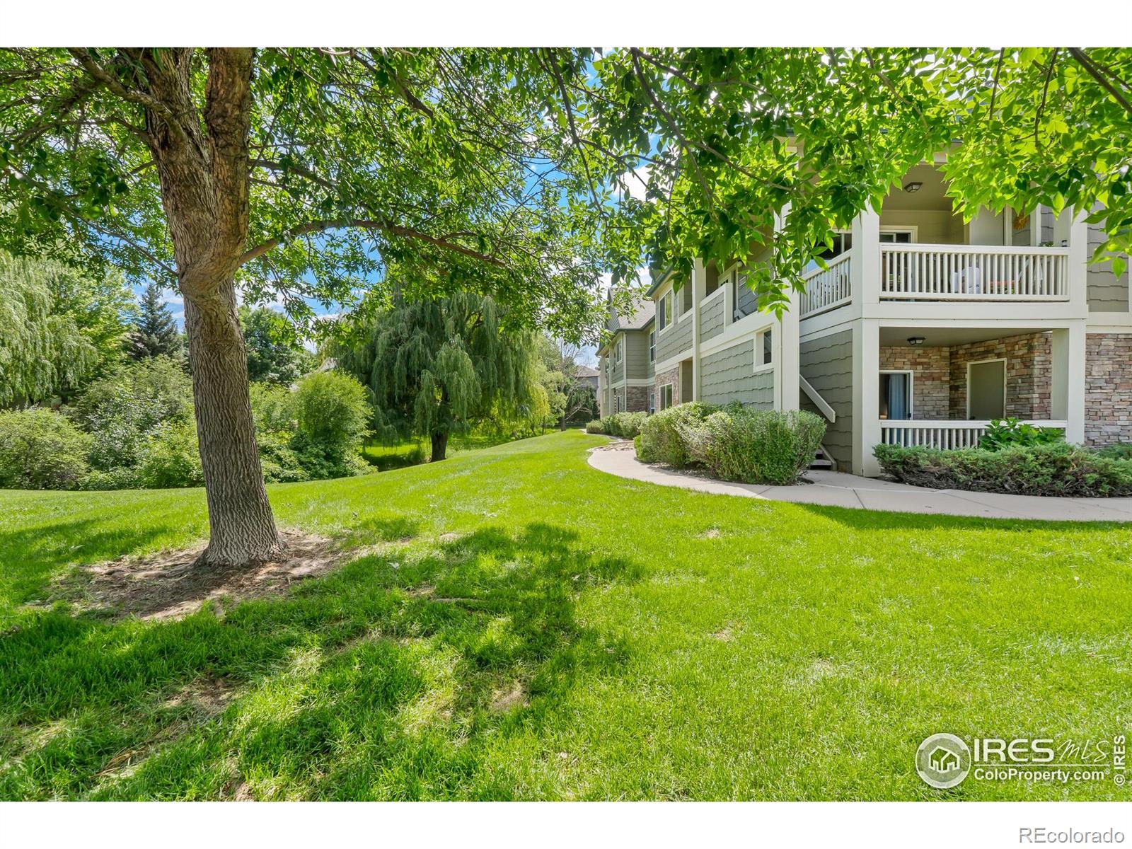 MLS Image #32 for 5225  white willow drive,fort collins, Colorado