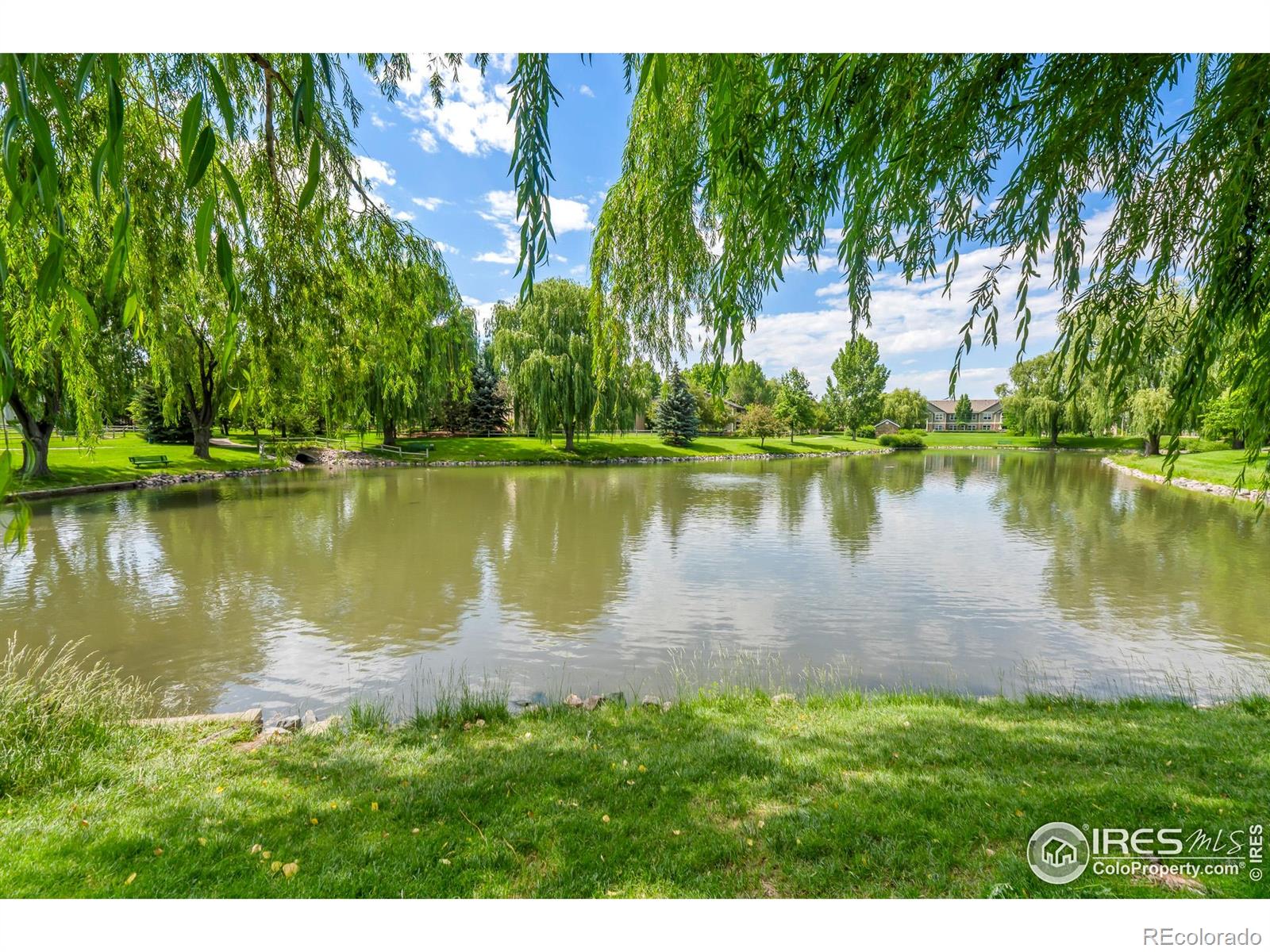 MLS Image #37 for 5225  white willow drive,fort collins, Colorado