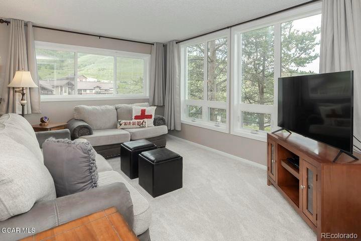 MLS Image #15 for 96  mountainside drive,granby, Colorado