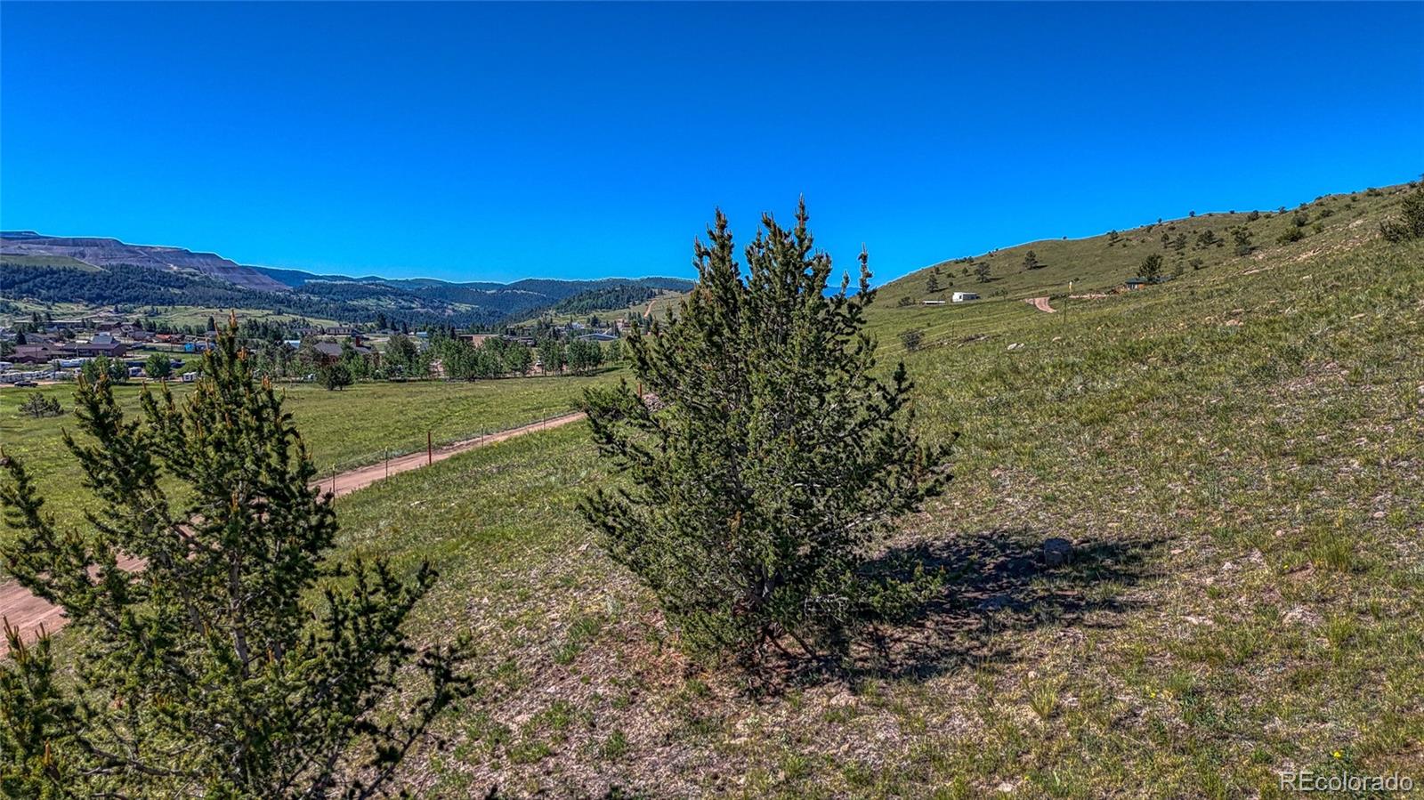 MLS Image #44 for 1455 n b street,florissant, Colorado