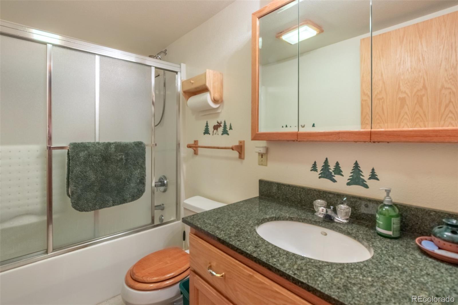 MLS Image #14 for 800  shadow mountain drive ,grand lake, Colorado