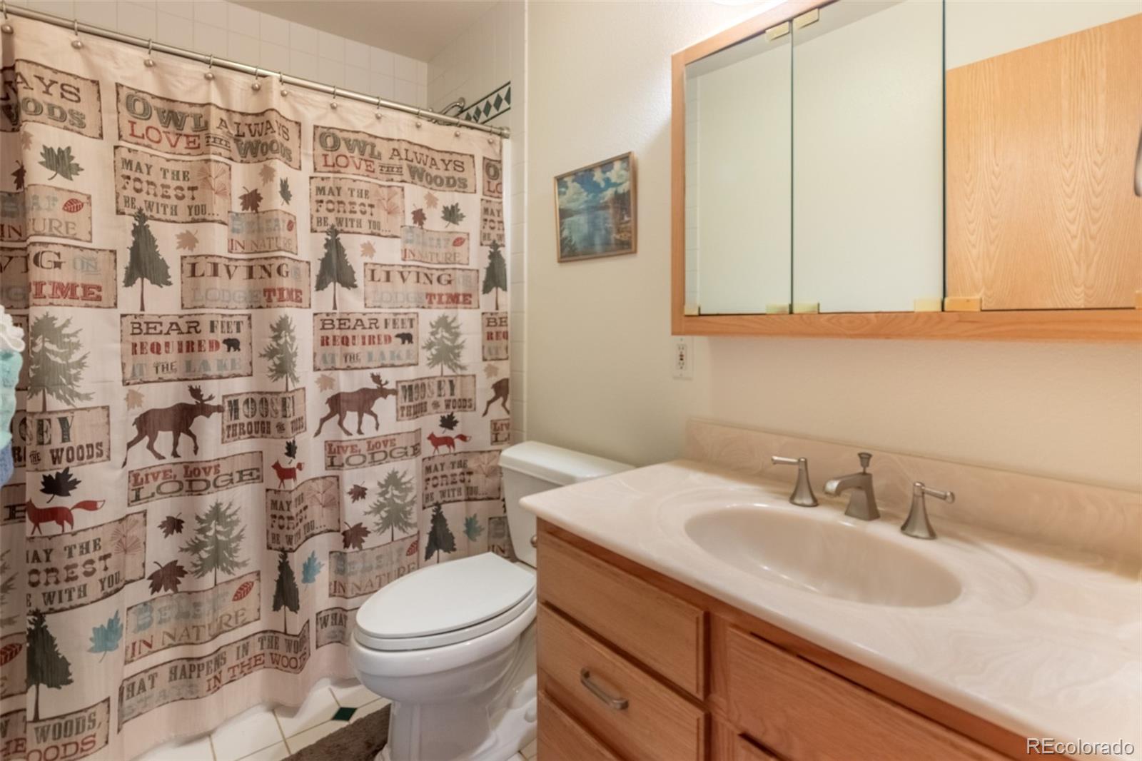 MLS Image #27 for 800  shadow mountain drive ,grand lake, Colorado