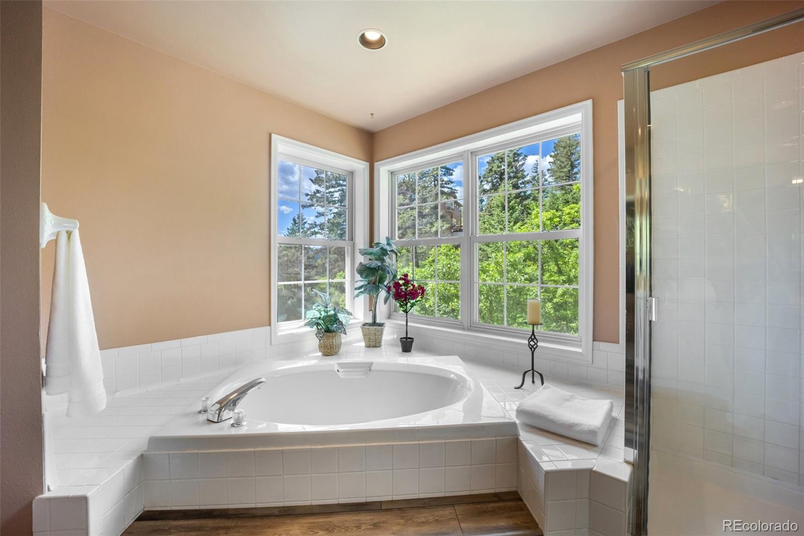 MLS Image #18 for 509  viola street,palmer lake, Colorado