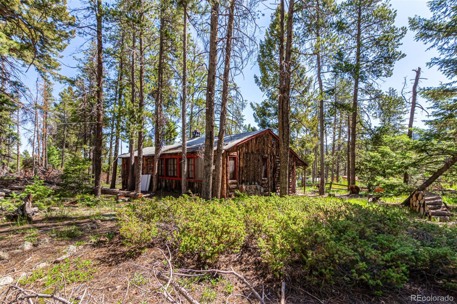 MLS Image #16 for 27164  grey moose trail,conifer, Colorado