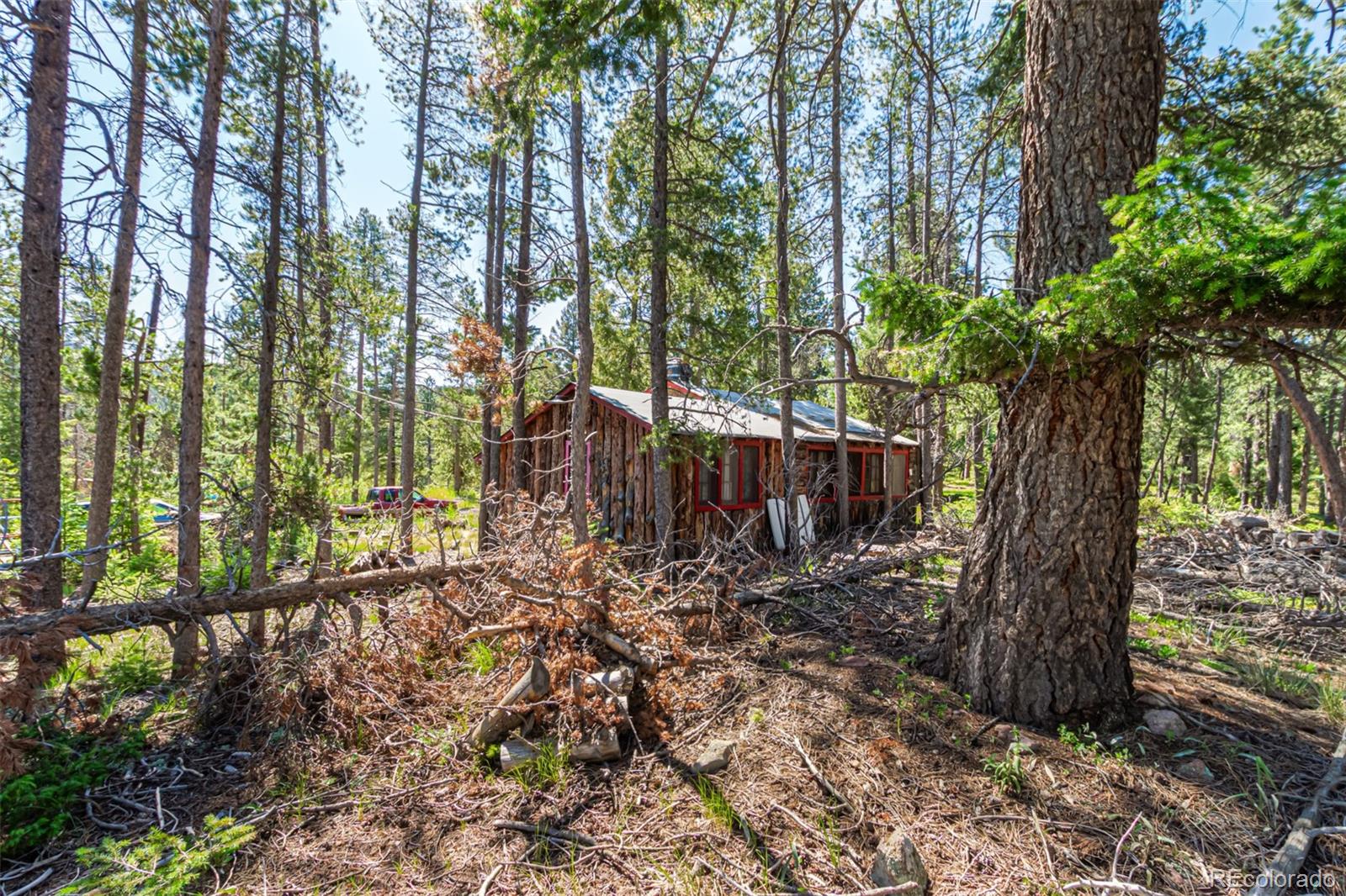 MLS Image #18 for 27164  grey moose trail,conifer, Colorado