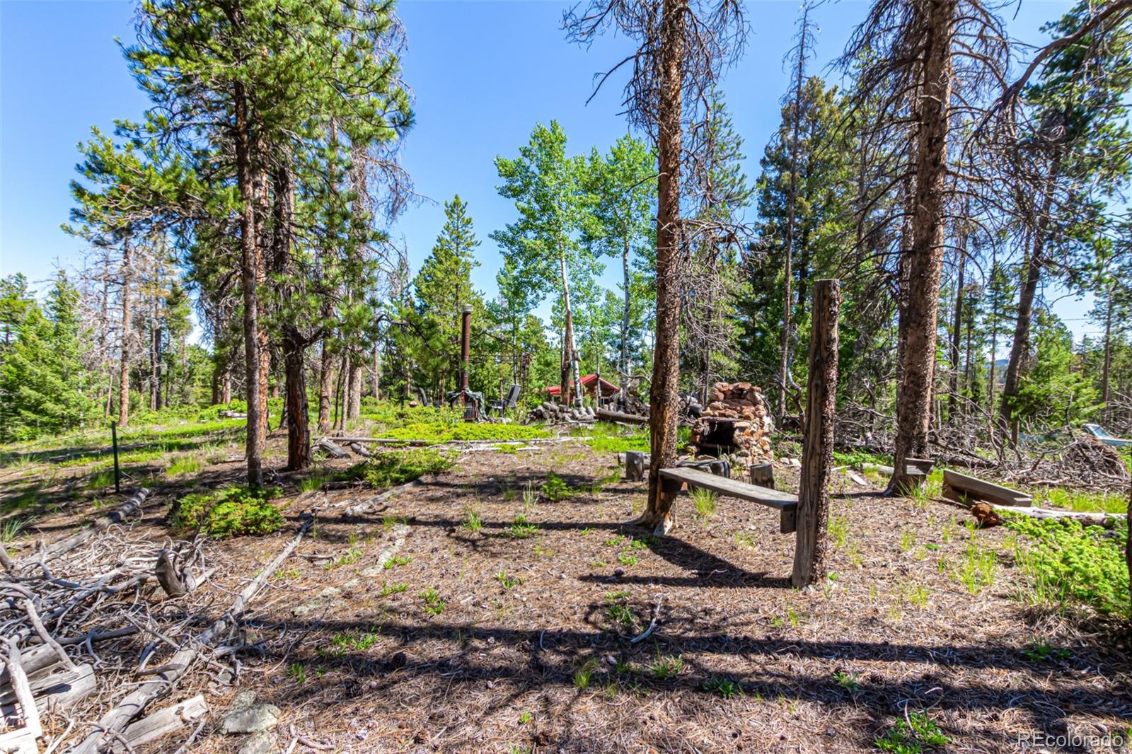 MLS Image #19 for 27164  grey moose trail,conifer, Colorado