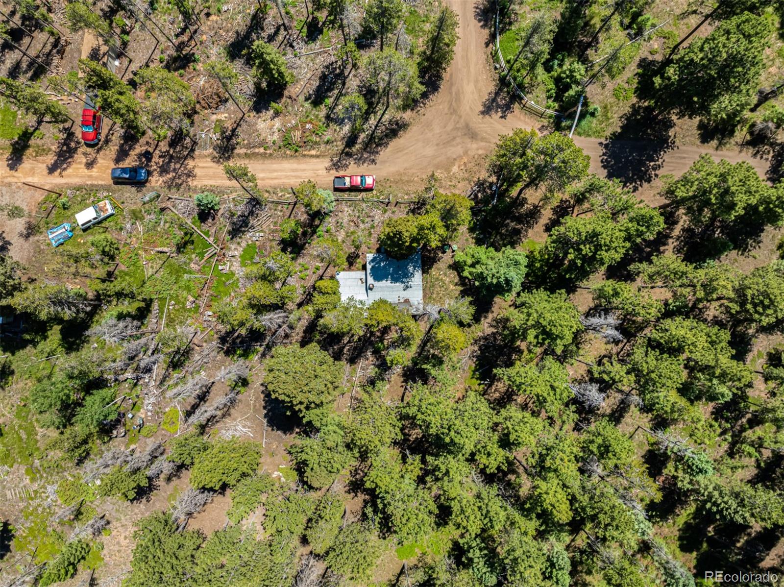 MLS Image #21 for 27164  grey moose trail,conifer, Colorado