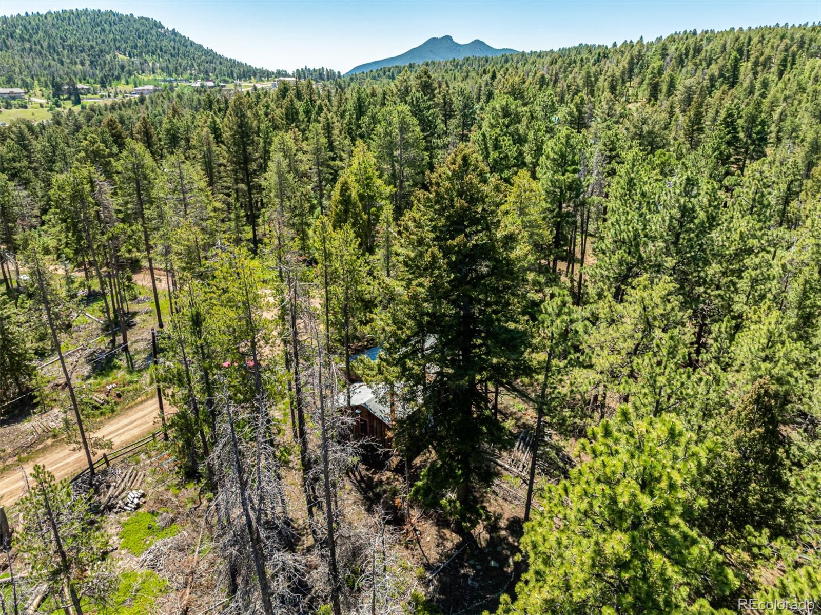 MLS Image #27 for 27164  grey moose trail,conifer, Colorado