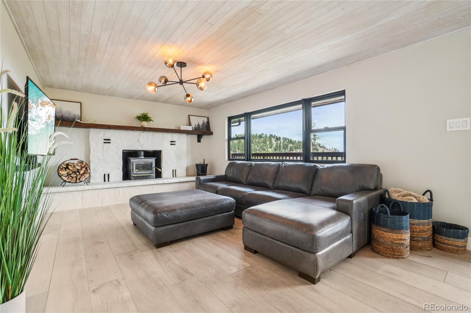 MLS Image #3 for 8940 s brandenburger drive,morrison, Colorado