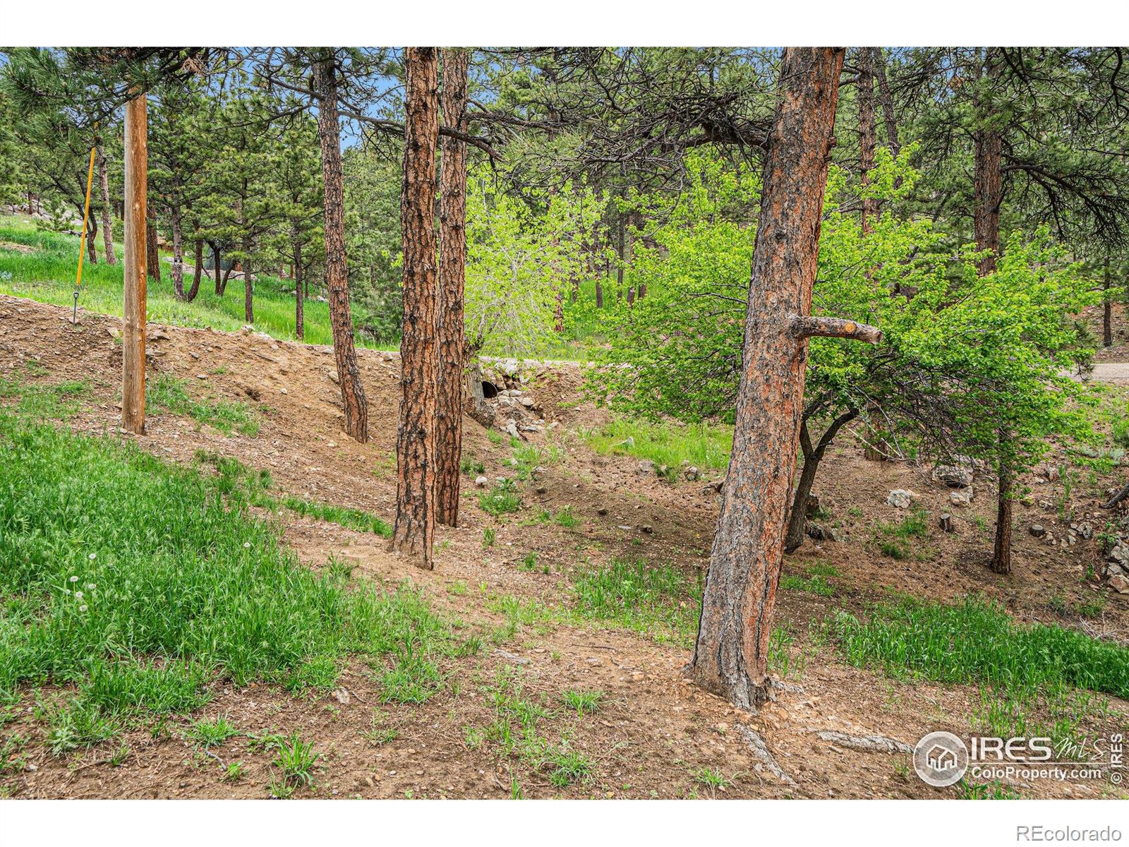 MLS Image #21 for 151  green mountain drive,loveland, Colorado