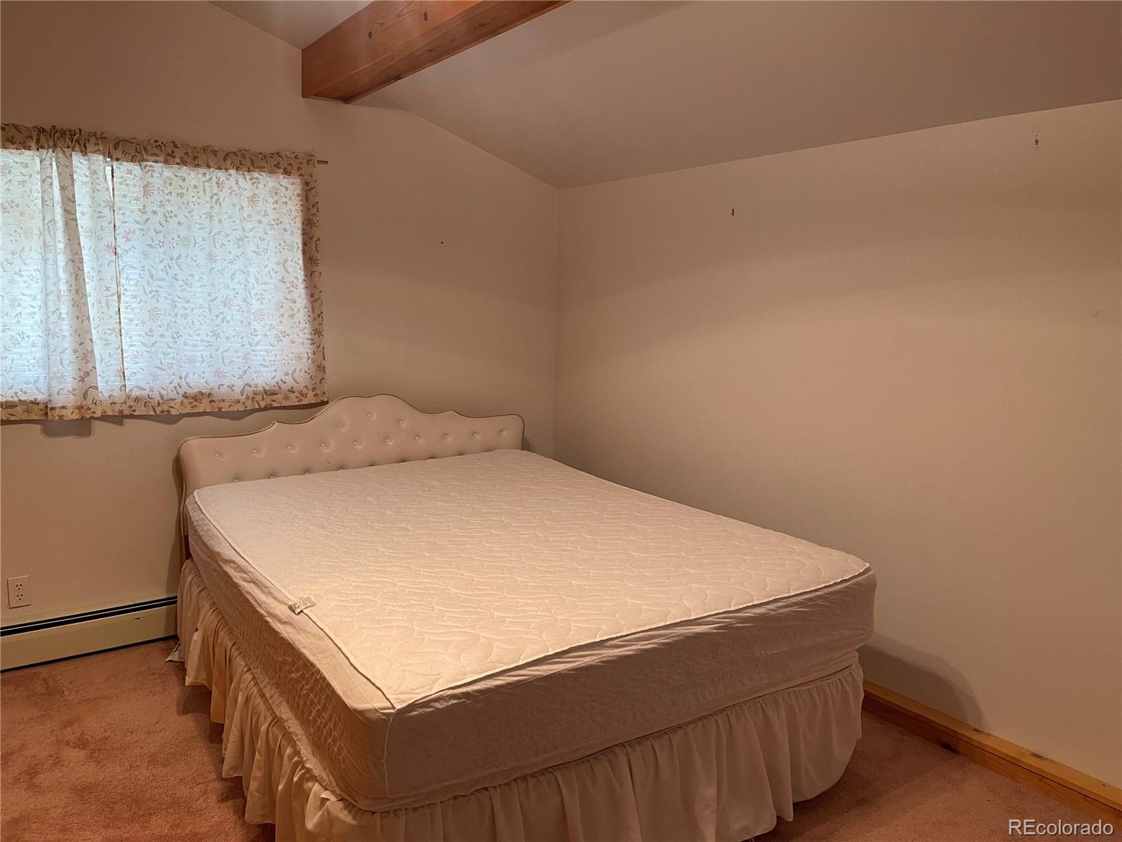 MLS Image #22 for 60  pawnee path,lake george, Colorado